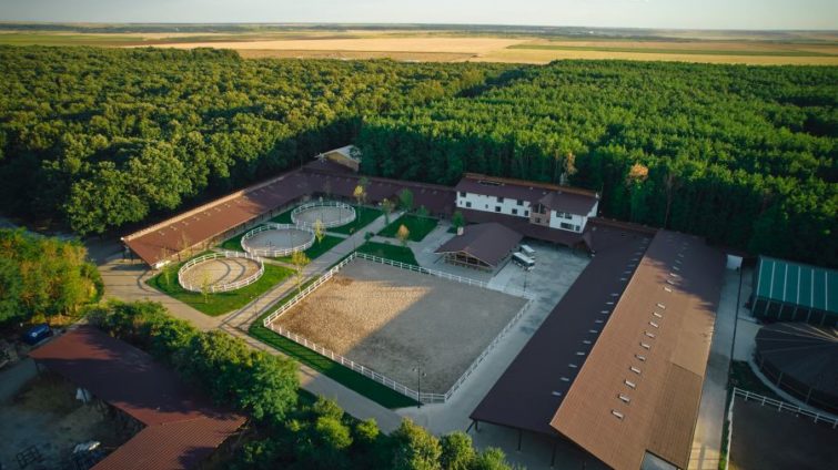 Domeniul Singureni Manor
