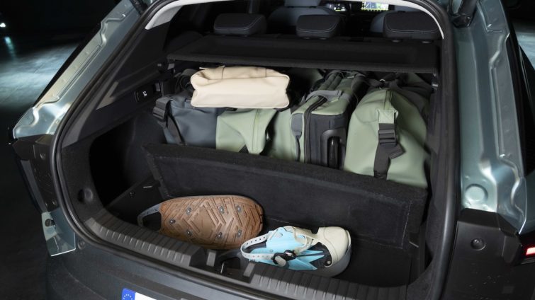 Dacia Striker